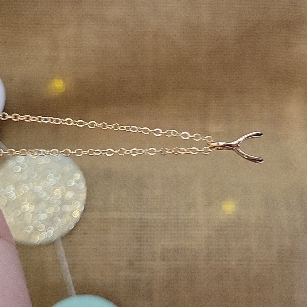 WISHBONE DAINTY CLAVICLE NECKLACE, Choice of Color
